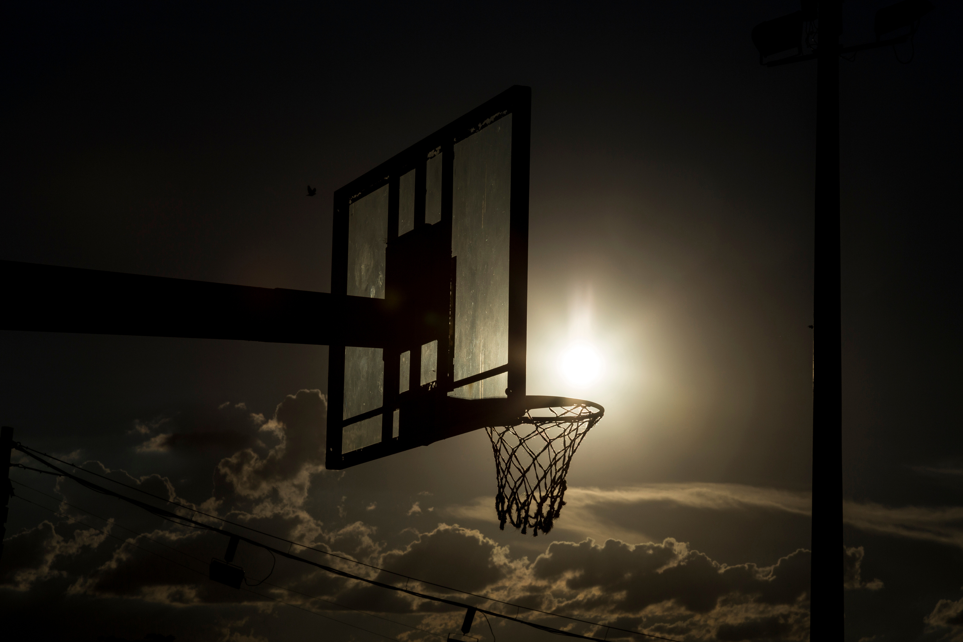silhouette of a basketball hoop.